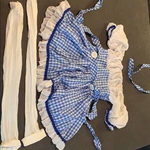 Dorothy Wizard of Oz costume.